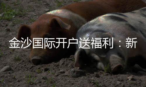 金沙国际开户送福利：新会员专享豪礼与高额返水优惠