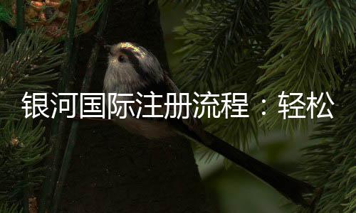 银河国际注册流程：轻松完成开户与首存步骤指南