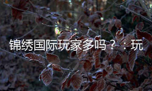 锦绣国际玩家多吗？：玩家规模揭秘