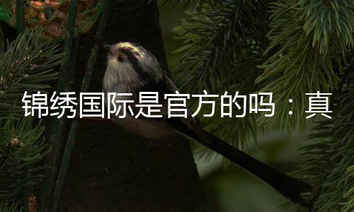 锦绣国际是官方的吗：真实评测揭秘