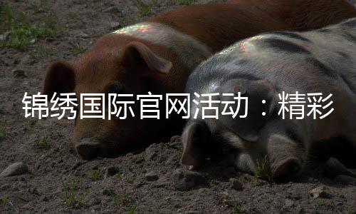 锦绣国际官网活动：精彩不容错过