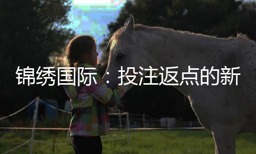 锦绣国际：投注返点的新选择