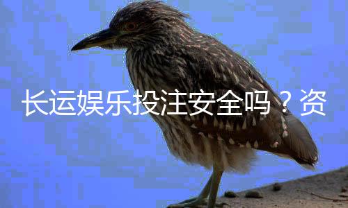 长运娱乐投注安全吗？资深玩家解析平台可靠性与资金保障