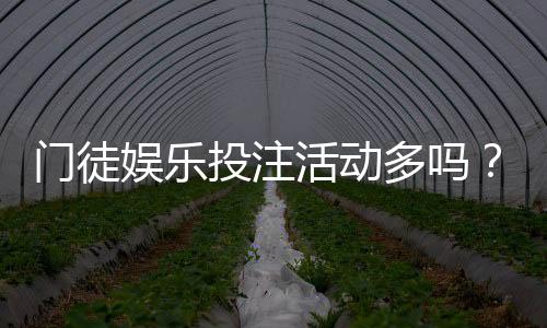 门徒娱乐投注活动多吗？深度解析其特色优惠与高频福利