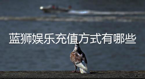 蓝狮娱乐充值方式有哪些？详解最新存款渠道与优惠活动
