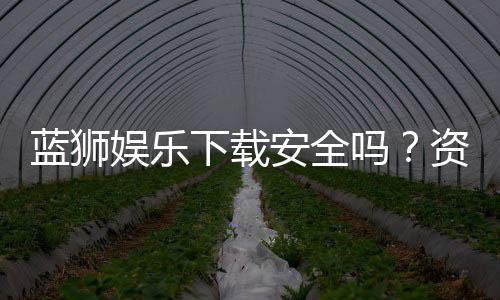蓝狮娱乐下载安全吗？资深玩家实测安全性与下载指南