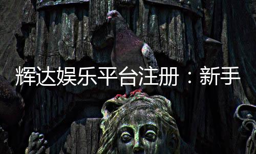 辉达娱乐平台注册:新手必看的高效注册流程与优惠指南