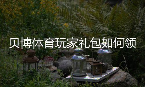 贝博体育玩家礼包如何领取?新手福利、优惠及使用攻略详解