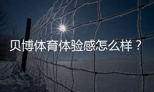 贝博体育体验感怎么样？真实用户评测：界面、下注、客服与出款全方位解析
