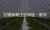 贝博体育注册体验：新手注册流程、优惠领取与安全性全面评测
