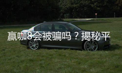 赢咖8会被骗吗？揭秘平台安全性及防骗技巧