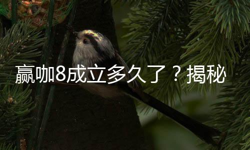 赢咖8成立多久了？揭秘其发展历程与品牌实力