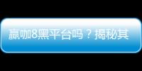 赢咖8黑平台吗？揭秘其真伪与玩家安全攻略