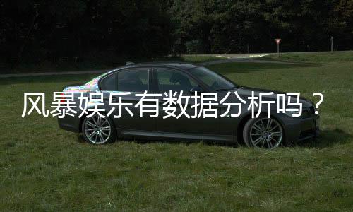 风暴娱乐有数据分析吗？深度解析其数据追踪与胜率统计功能
