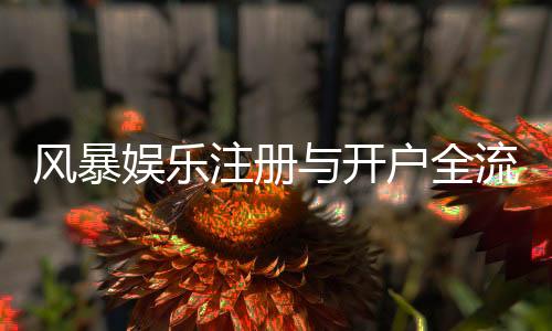 风暴娱乐注册与开户全流程：手把手教你轻松完成账号申请
