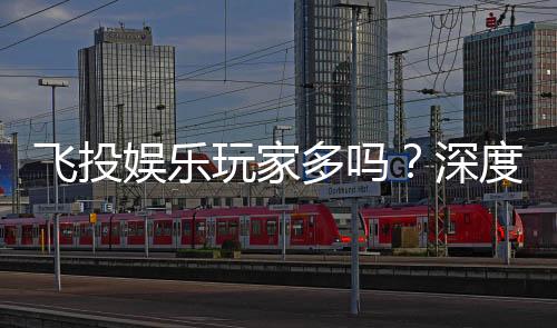 飞投娱乐玩家多吗？深度解析平台人气与玩家真实体验