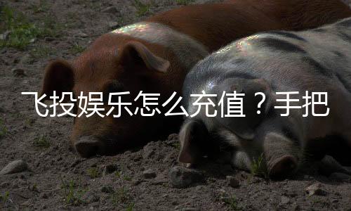 飞投娱乐怎么充值？手把手教你快速到账畅玩攻略