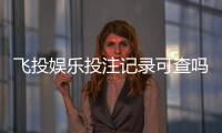 飞投娱乐投注记录可查吗？一文详解查询方法与注意事项