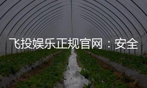 飞投娱乐正规官网：安全可靠的在线娱乐平台首选