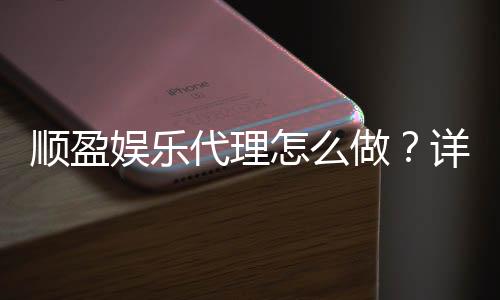 顺盈娱乐代理怎么做？详细申请流程与盈利技巧分享