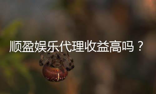 顺盈娱乐代理收益高吗？揭秘高收益背后的真实情况