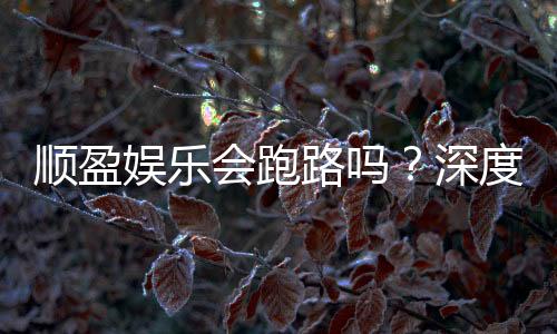 顺盈娱乐会跑路吗？深度解析平台安全性与玩家资金保障