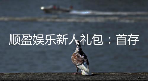 顺盈娱乐新人礼包：首存福利与独家优惠详解