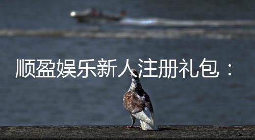 顺盈娱乐新人注册礼包：首存福利与高额返水等你拿