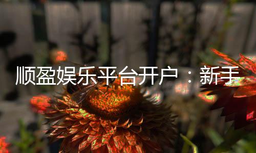顺盈娱乐平台开户：新手注册指南与首存优惠详解