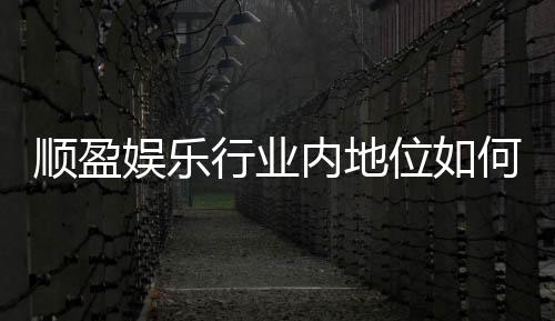 顺盈娱乐行业内地位如何？深度解析其市场影响力与玩家口碑
