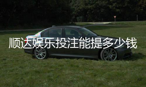 顺达娱乐投注能提多少钱？揭秘提款额度与到账规则