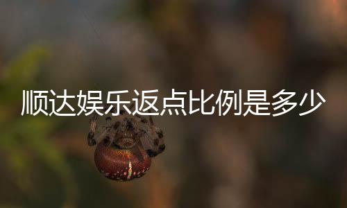 顺达娱乐返点比例是多少？最新返点政策及优惠解析