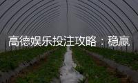 高德娱乐投注攻略：稳赢技巧与实战经验分享