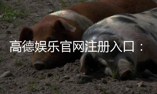高德娱乐官网注册入口：轻松三步完成账号注册畅享游戏