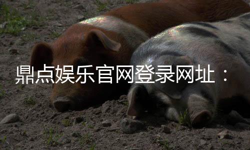 鼎点娱乐官网登录网址：玩家注册指南与安全解析