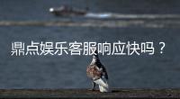 鼎点娱乐客服响应快吗？实测体验告诉你答案