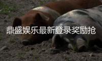 鼎盛娱乐最新登录奖励抢先领取吧！