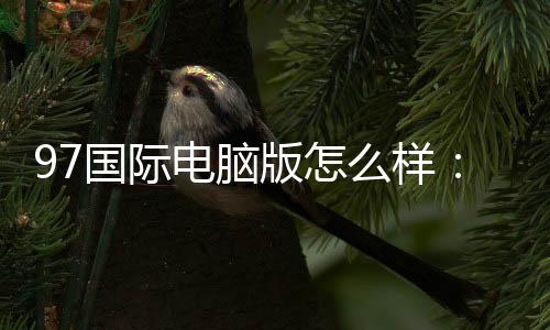 97国际电脑版怎么样：专业棋牌玩家的体验分享