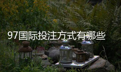 97国际投注方式有哪些：精彩玩法一网打尽