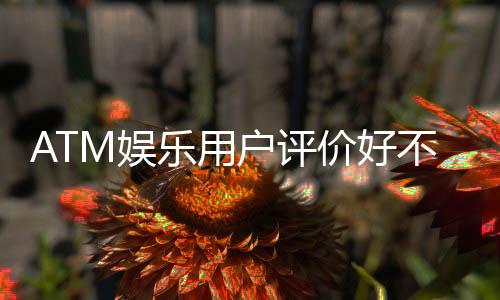 ATM娱乐用户评价好不好？真实玩家体验分享与深度解析