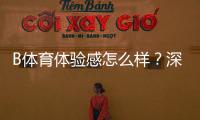 B体育体验感怎么样？深度测评：界面、玩法、充值与安全全方位解析
