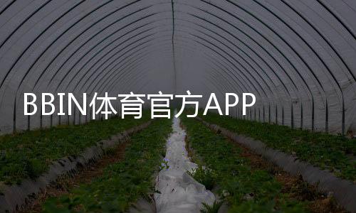 BBIN体育官方APP下载教程：安卓版苹果版安装与注册登录全攻略