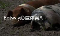Betway必威体育APP怎么样？最新测评与使用指南：下载、注册、玩法、优惠与提款全解析