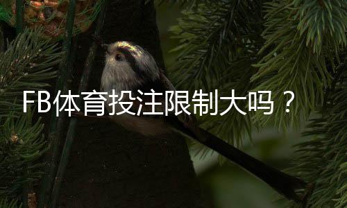FB体育投注限制大吗？专业解析限制原因、类型与新手应对策略
