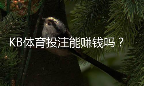 KB体育投注能赚钱吗？真实评测：赚钱概率、常见套路与风险解析