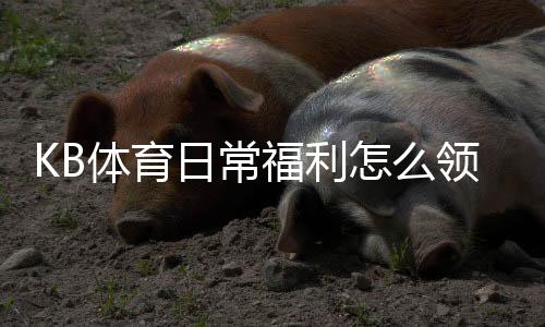 KB体育日常福利怎么领取？领取攻略、注意事项与常见问题详解