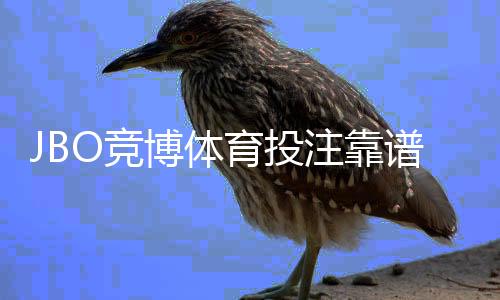JBO竞博体育投注靠谱吗？真实评测、合法性与提款速度安全性全面解析