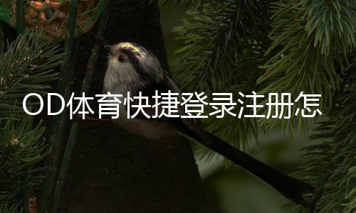OD体育快捷登录注册怎么操作？新手快速完成账号创建与登录全攻略