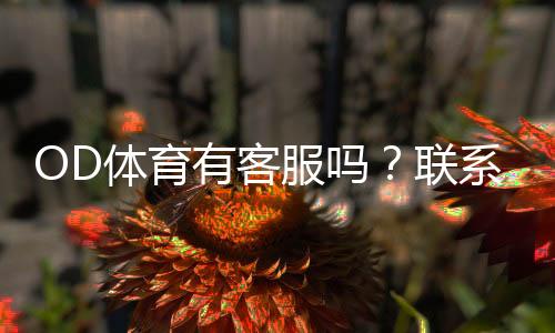 OD体育有客服吗？联系客服方式、在线时间与常见问题全解析