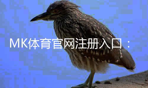 MK体育官网注册入口：轻松三步完成账号注册畅享体育赛事投注乐趣